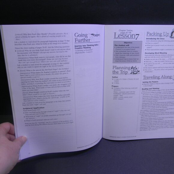 BJ Book Links Journey into Literature, A Father's Promise Homeschool Lessons - Picture 2 of 4